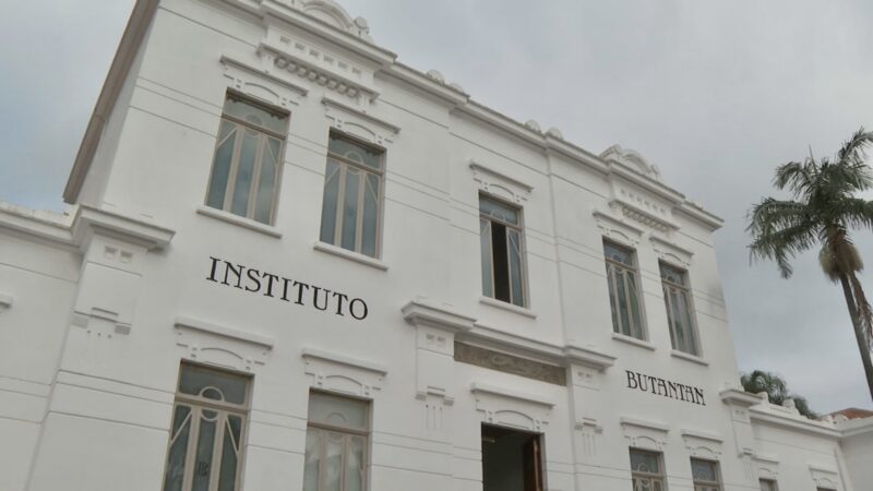 Instituto Butantan inicia desenvolvimento de vacina contra gripe aviária