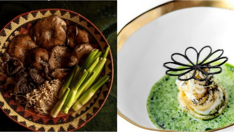 Brasil conquista duas estrelas Michelin máximas e lidera na América Latina