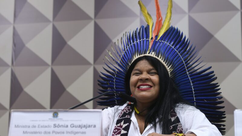 Ministra dos Povos Indígenas pede que AGU reveja apoio à redução do Parque Nacional do Jamanxim