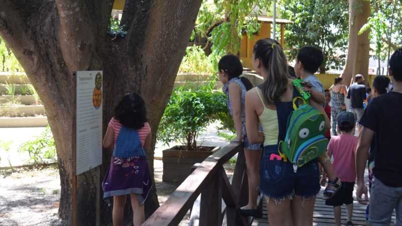 Museu Sacaca promove atividades gratuitas para crianças durante férias em Macapá