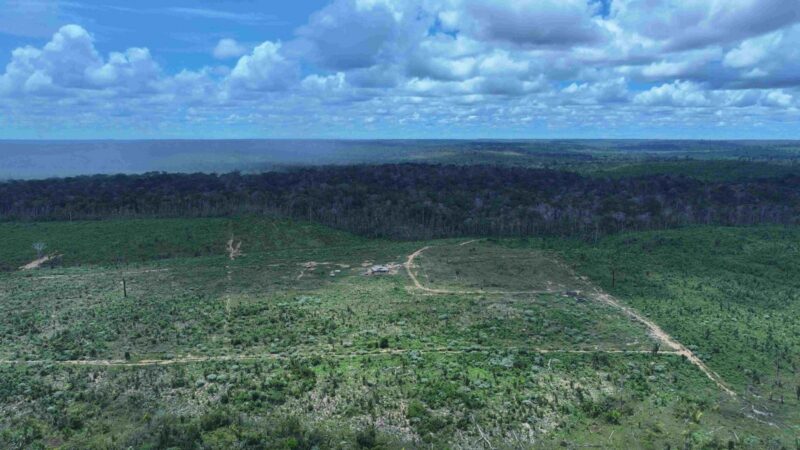Câmara aprova projeto que limita multas por desmatamento com base em imagens de satélite