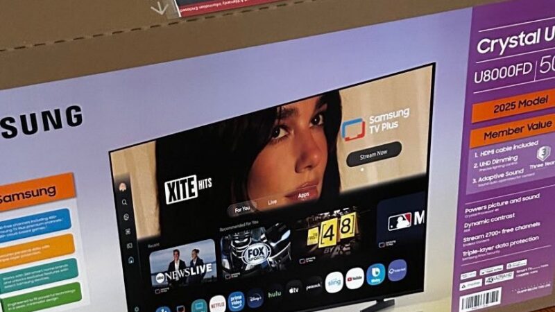 Dua Lipa processa Samsung por usar sua imagem sem autorização em TVs e pede US$ 15 milhões