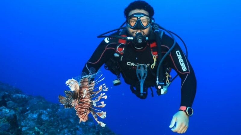 Fernando de Noronha registra 24 capturas de peixe-leão em ação de controle da espécie invasora