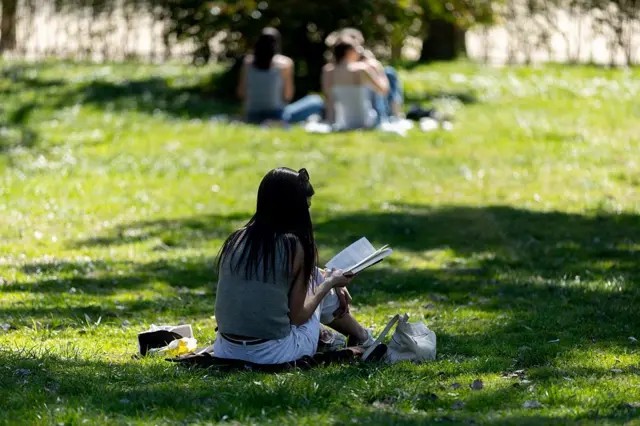 Leitura Profunda: Como o Hábito de Ler Muda o Cérebro e Beneficia a Mente