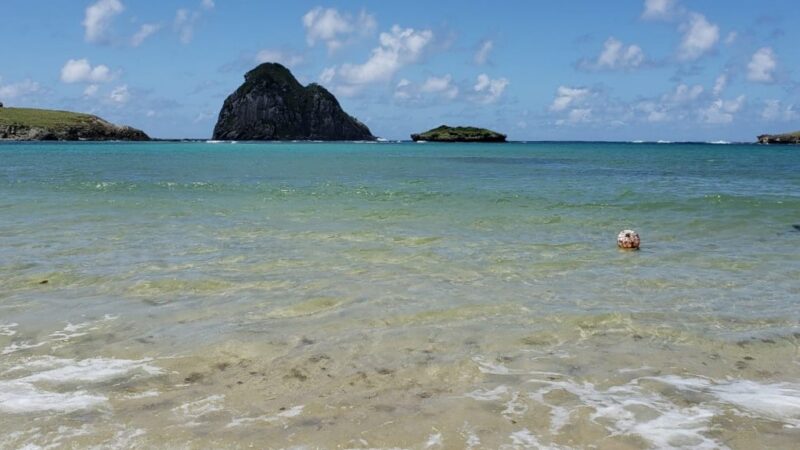 Mergulho na Praia do Sueste, em Fernando de Noronha, é suspenso após avistamento de tubarões-tigre