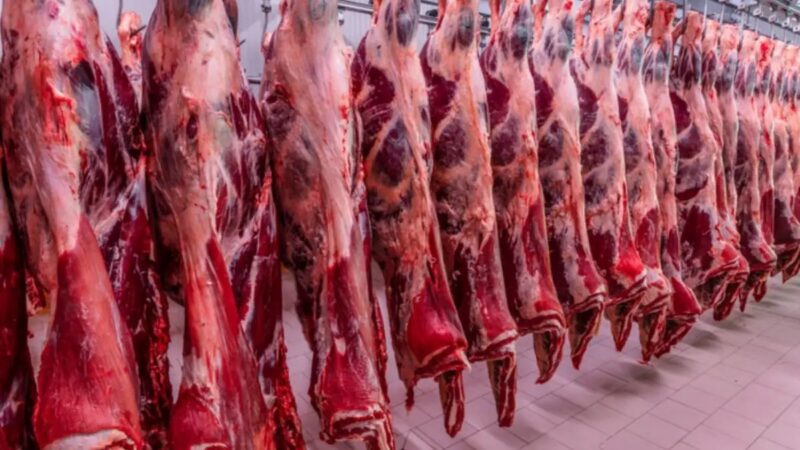 União Europeia retira Brasil da lista de exportadores de carne e governo busca reverter veto
