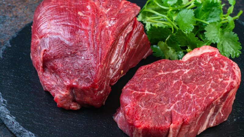 União Europeia suspende importação de carne e produtos animais do Brasil a partir de setembro