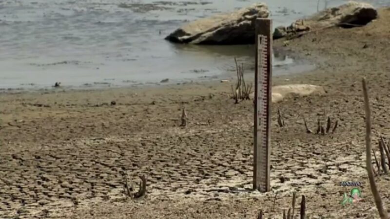 Governo Federal reconhece situação de emergência em 66 municípios do Ceará devido à seca