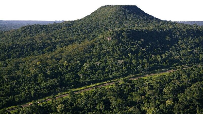 SP anuncia R$ 23 milhões para proteger fauna no entorno do Parque Morro do Diabo após atropelamentos de onças-pintadas