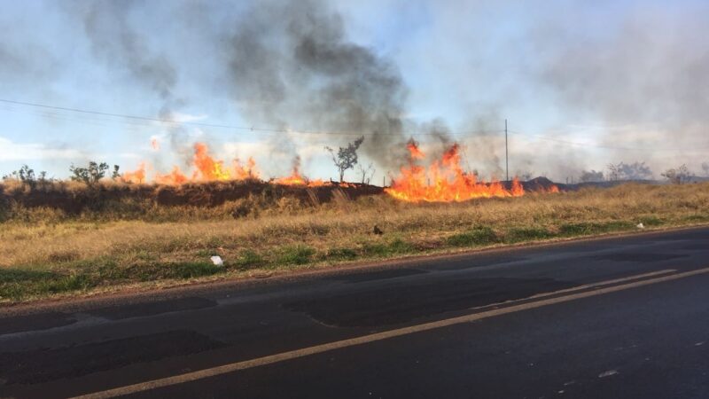Incêndios atingem áreas de pastagem e reserva florestal no Distrito Industrial de Uberlândia