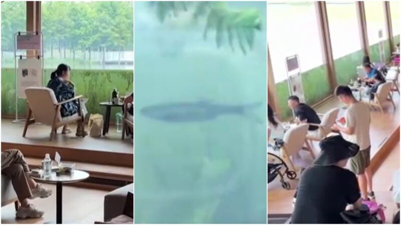 Livraria submersa no lago Xinglong reabre e vira atração na China