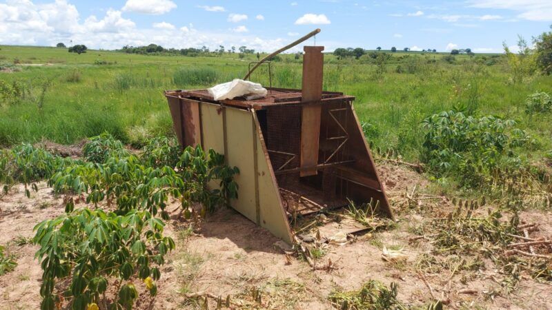 Polícia Ambiental apreende e destrói armadilha para javalis em fazenda de Santo Expedito (SP)
