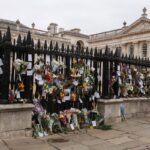 Morte de professor de Cambridge destaca uso político das acusações de plágio