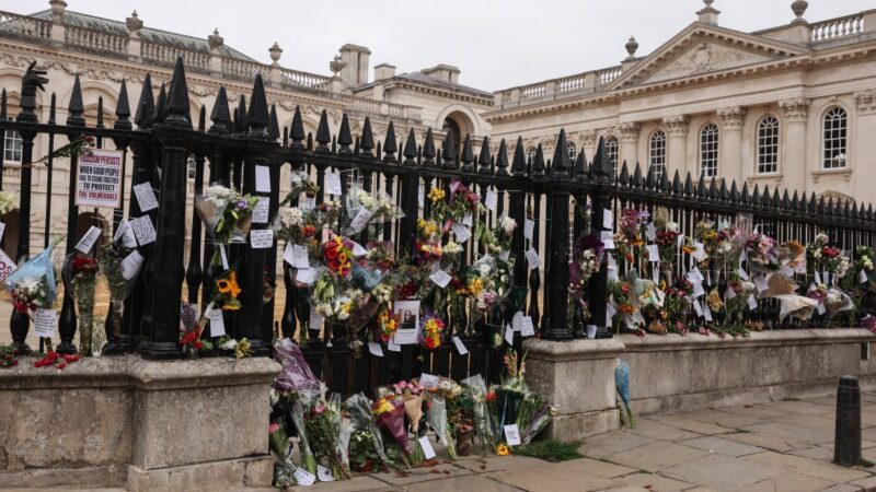 Morte de professor de Cambridge destaca uso político das acusações de plágio