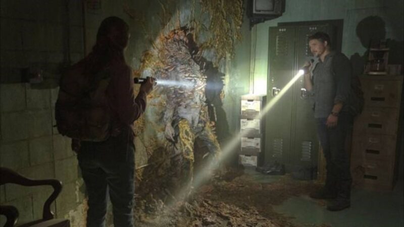 Pandemia de fungos pode transformar humanos em zumbis? Entenda a realidade por trás de The Last of Us