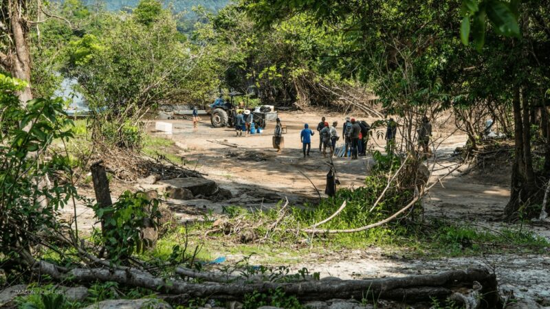 Desmatamento na Amazônia ultrapassa 10 mil km² em 2022 e atinge áreas protegidas no Pará