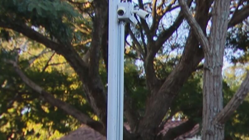 Parque do Sabiá em Uberlândia ainda tem videomonitoramento incompleto após um ano
