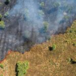 Singular ou plural? Entenda a importância da expressão ‘mudança climática’ no debate ambiental