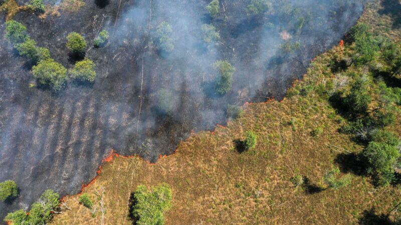 Singular ou plural? Entenda a importância da expressão ‘mudança climática’ no debate ambiental